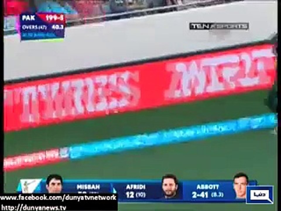 Dunya News - Aussies raise Pakistan slogans, Dil Dil Pakistan slogans at US Embassy