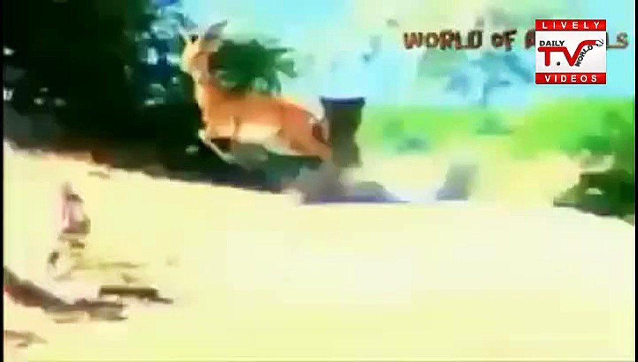 Lions Attack on Dear n Eating - SHIKAAR