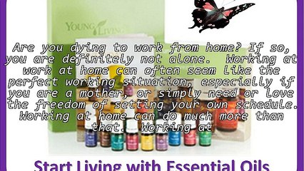 Finding the Perfect Home Business Opportunity Online