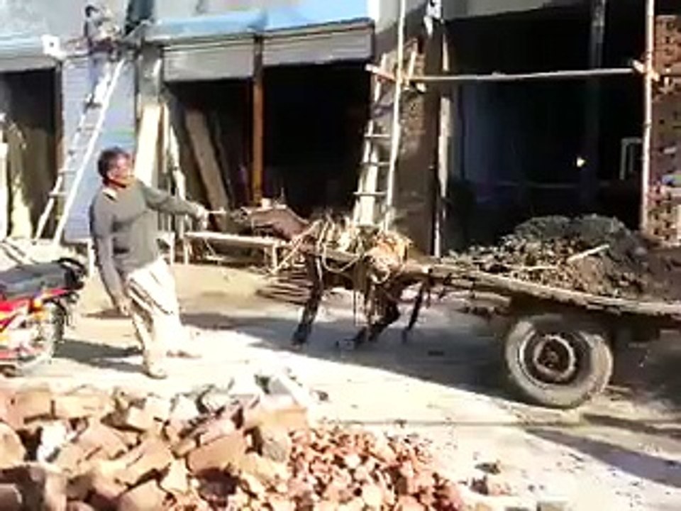 20150310_160052.mp4