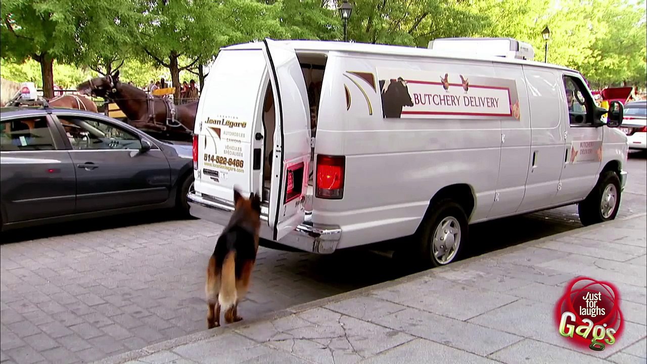 Dog Escape Prank