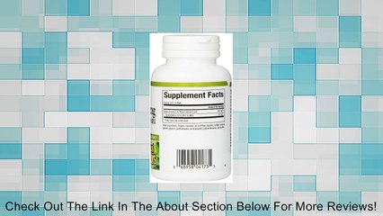 C.A. Meyer Panax Ginseng Extract (100mg) Review