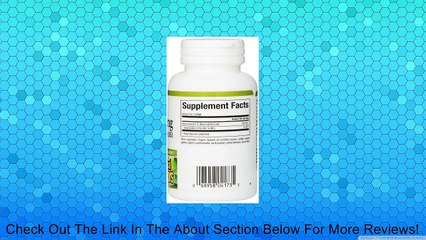 C.A. Meyer Panax Ginseng Extract (100mg) Review