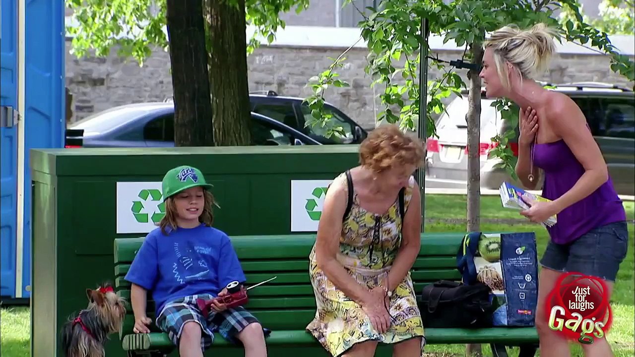 Tiny Dog Drives Away With Tiny Car