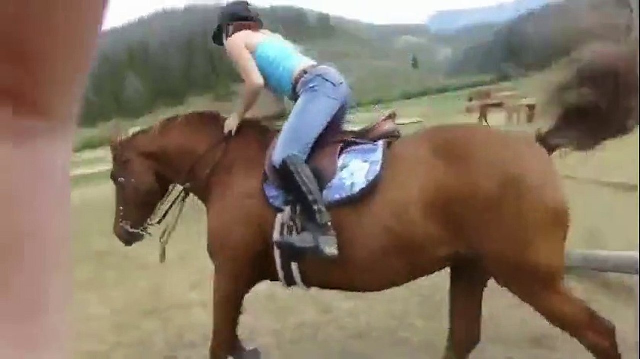 Me and My horse Jumping 3'6