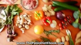 Watch and Review of Paleo Recipe Book free guide!!!