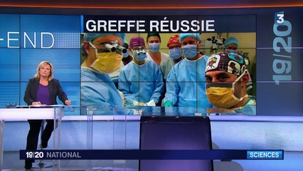 Afrique du Sud : première greffe de pénis réussie