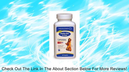 Lipiderm Healthy Skin & Coat (Lg Breed) Gel-Caps 60 ct Review