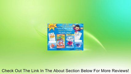 BK980 BOWL BUDDI BETTA CARE Review