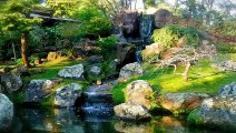 Japanese Tea Garden - San Francisco, California , United States