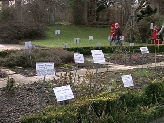 Das Sternzeichen Fische und seine Entsprechungen in Natur- und Menschenwelten
