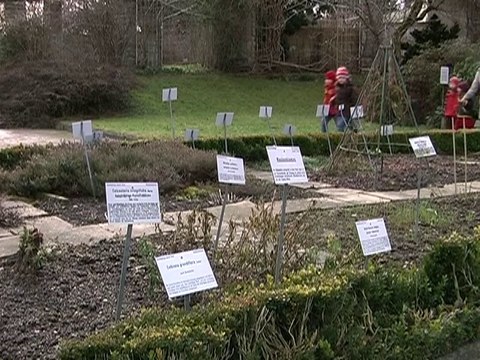 Das Sternzeichen Fische und seine Entsprechungen in Natur- und Menschenwelten