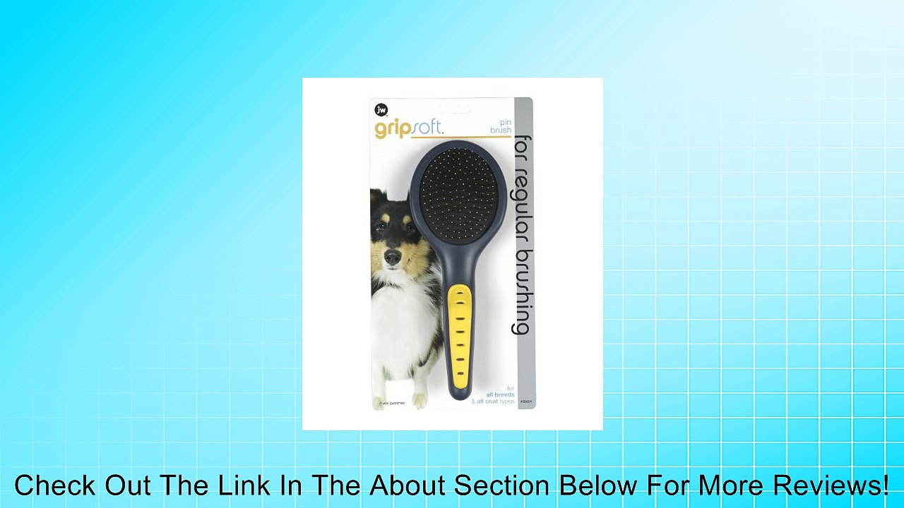 Grip Soft Pin Dog/Cat Brush Review