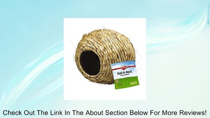 Super Pet Guinea Pig Grassy Roll-a-Nest Hideout Review