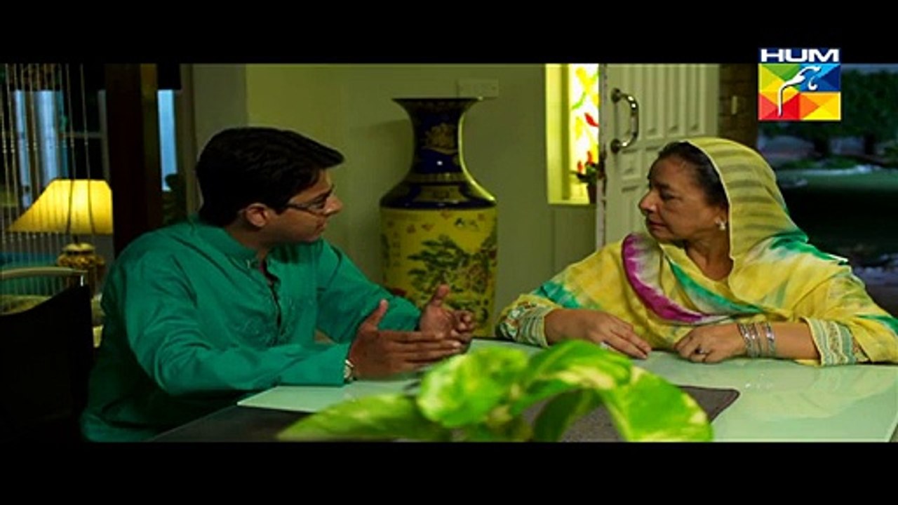 Digest Writer Episode 24 Full HUM TV Drama Mar 14, 2015 - www.dramaserialpk.blogspot.com