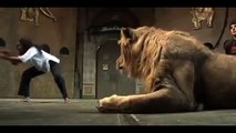 OMG!!! Lion Attacks Woman - 4 Ribs Broken - Video Dailymotion