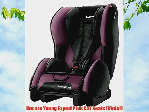 recaro young expert car seat