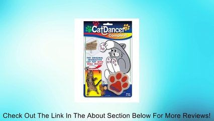 Cat Dancer Complete Action Cat Toy Review