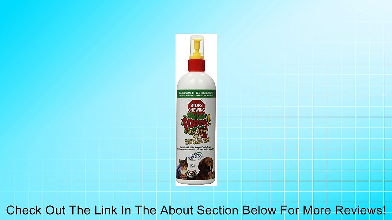 Synergy Fooey Review