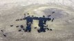 Farmer herds his cows into the shape of pi