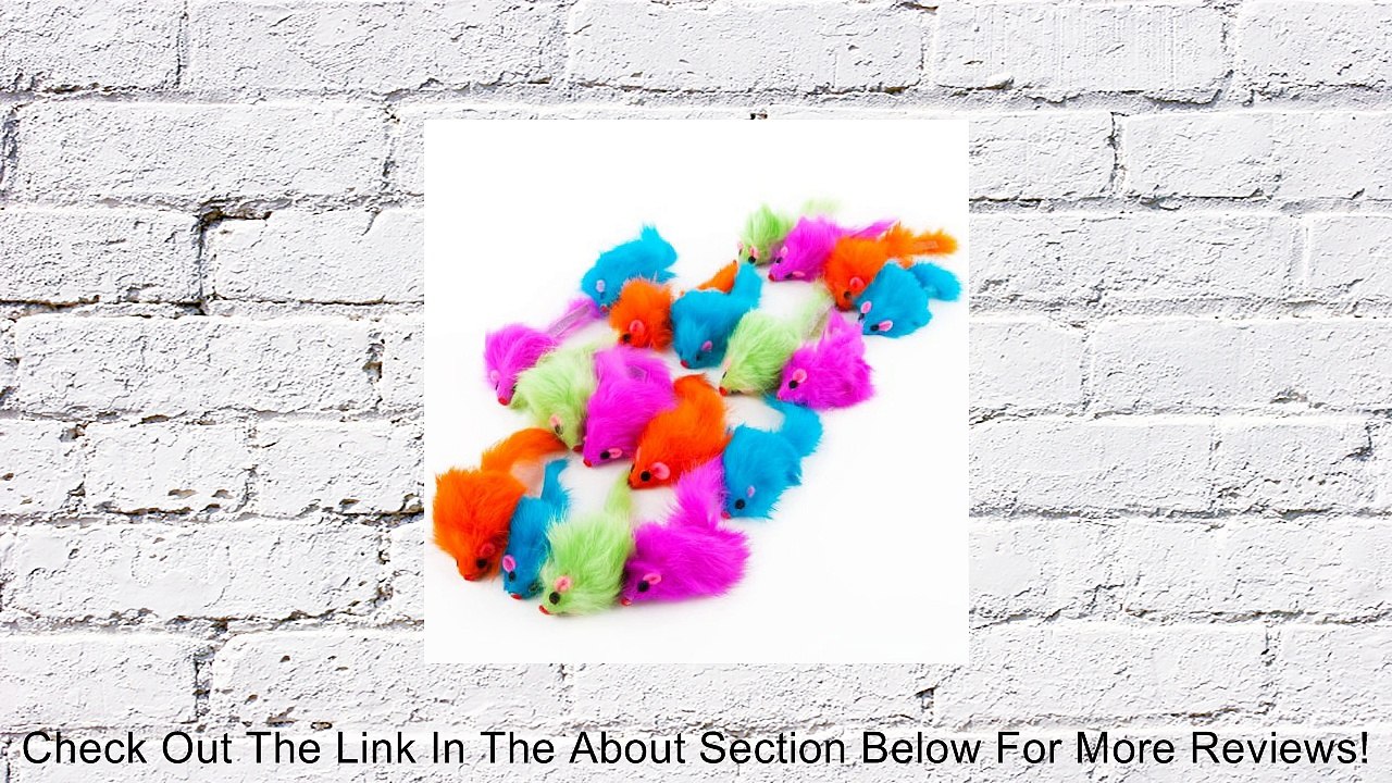 Ethical Colored Plush Mice with Catnip Cat Toy, 12-Pack Review