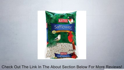 Kaytee Safflower Seed, 5-Pound Bag Review