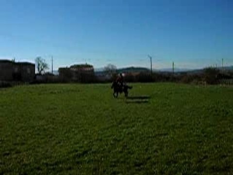 50 cm ac moi super bo