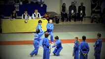 Vovinam Children's Show - France-Vietnam 2010 - Paris