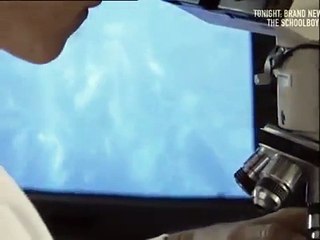 Arrest & Trial - Chaney Case