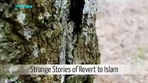 Strange Stories Of Converts To Islam - Nouman Ali Khan