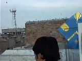 Kites everywhere in Rawalpindi basant 2014