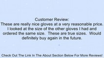 SSG Leather Pro Show Gloves Review