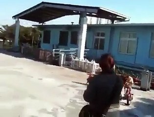 Training of  MATCH PAKISTANI dogs WITH MATCH15-3-2015