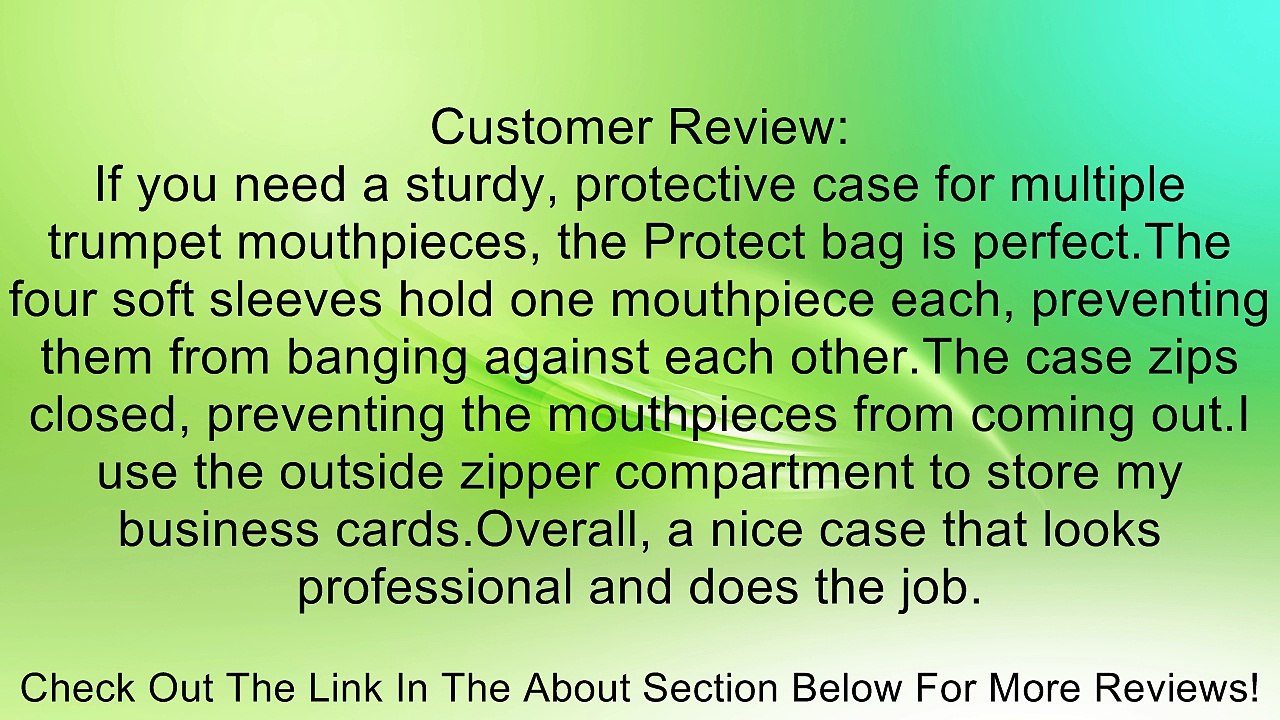 Protec 4 PC. Leather MP Pouch - Small Brass Review