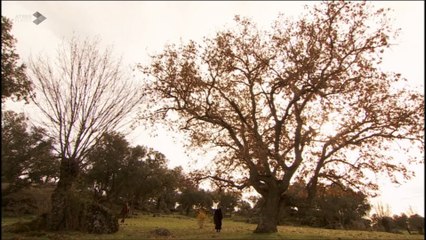 Raimundo rompe con Francisca (Cap. 1025)