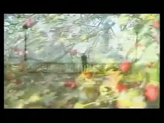 Ferdi Tayfur - Bağ Bozumu