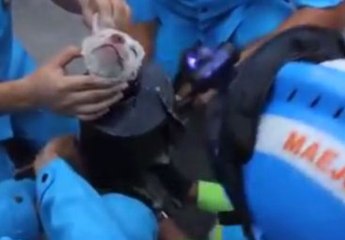 Çelik Boruya Sıkışan Yavru Köpeği Sabunla Kurtardılar!