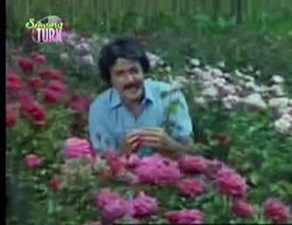 Ferdi Tayfur - Koparma Gülleri