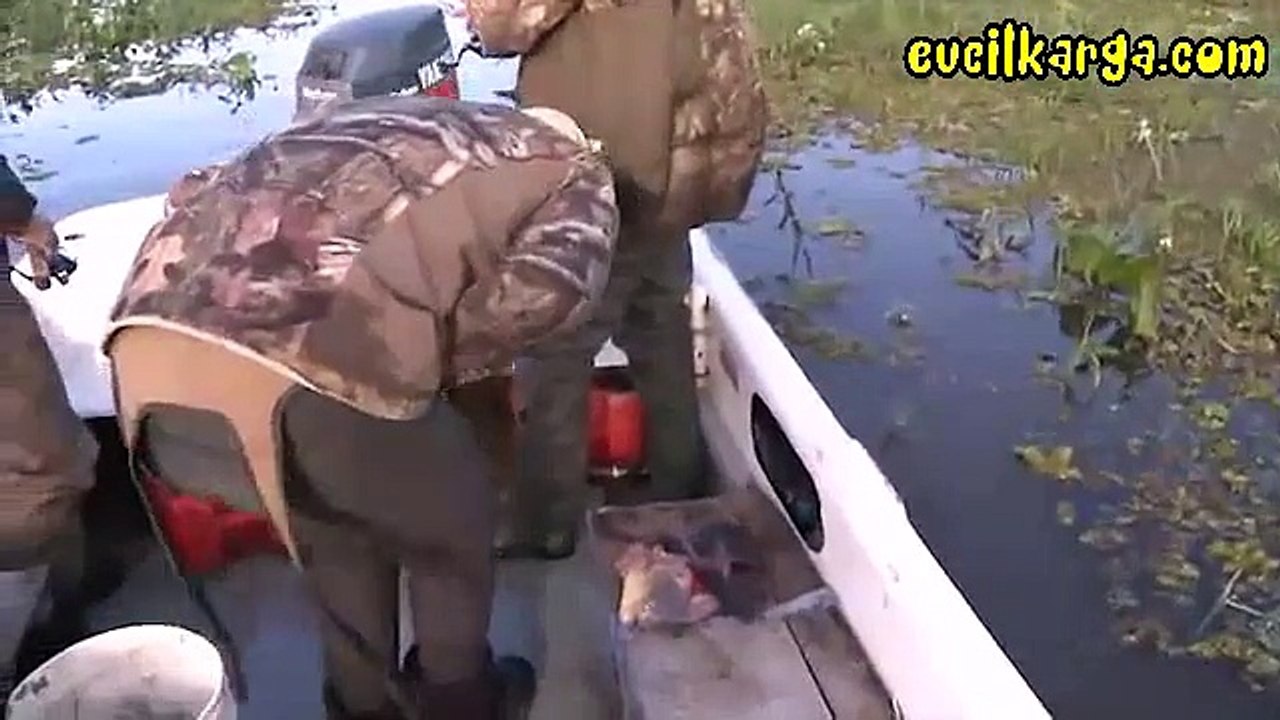 Parmağı pirana tarafından ısırılan adam