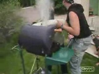 The Professional Killer