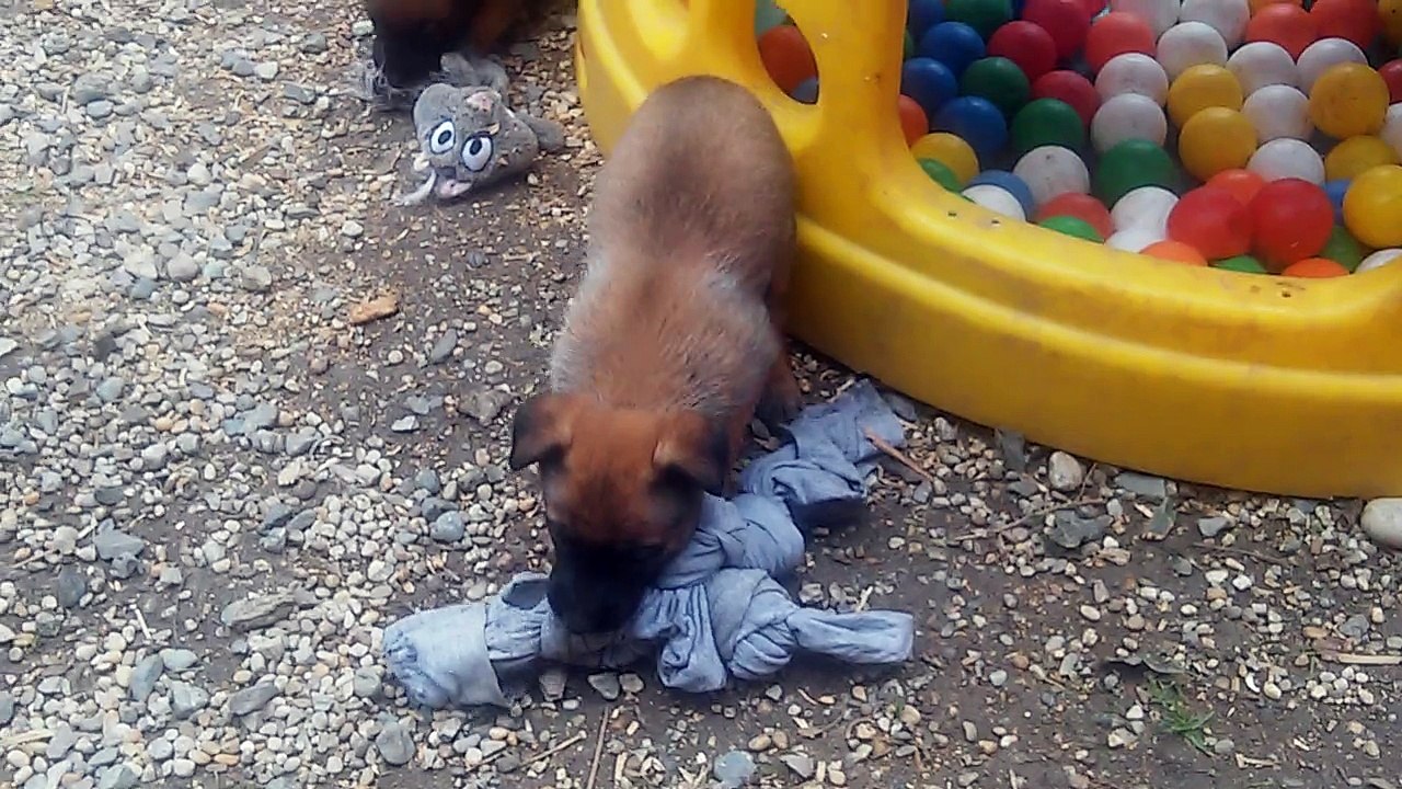 Be Aware H's @ Kleine Egoisten