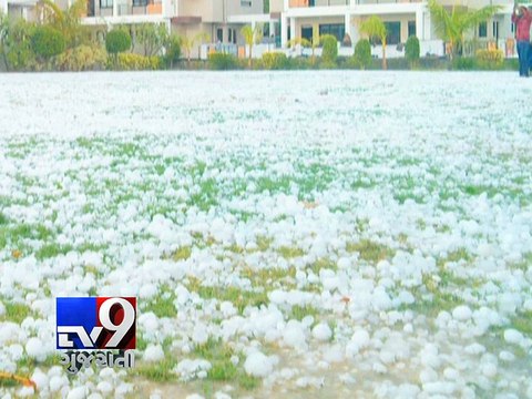 Unseasonal rain, hailstorm lash Gujarat, damage standing crops - Tv9 Gujarati