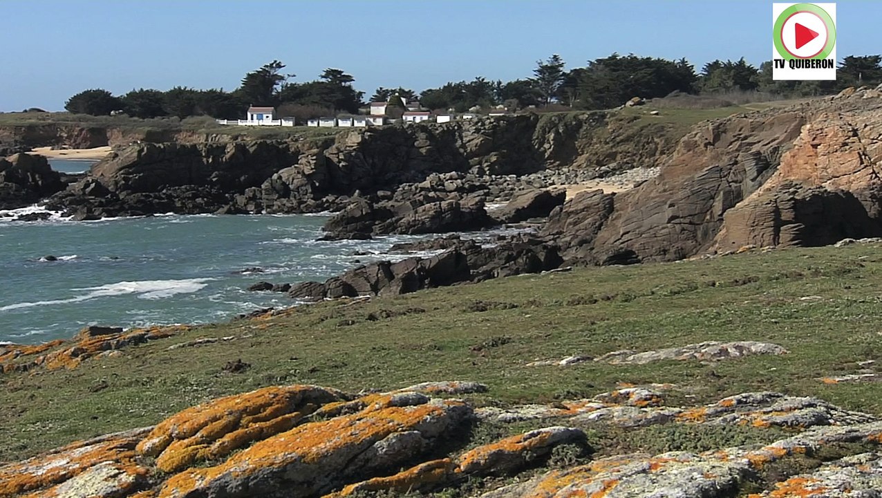 Île d'Yeu   |   Trop sauvage en hiver  |  Télé Île d'Yeu Vendée