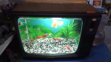 Televizyonu Akvaryum Yaptı