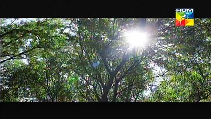 Mohabbat Subh Ka Sitara Hai  New Drama HumTv 2015- 14-3