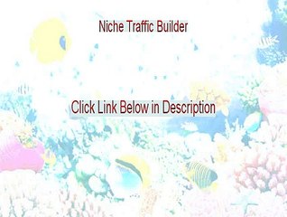 Niche Traffic Builder Reviews [Video Review]