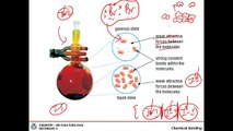 Covalent Bonding (Topic: 2 - Section: 2.5)