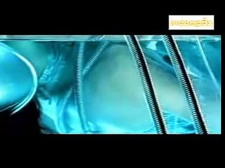 the titans- rasa ini