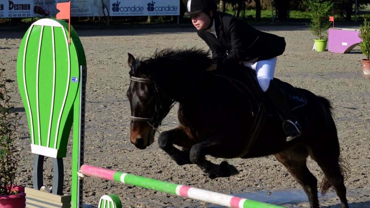 Up lady des jouans