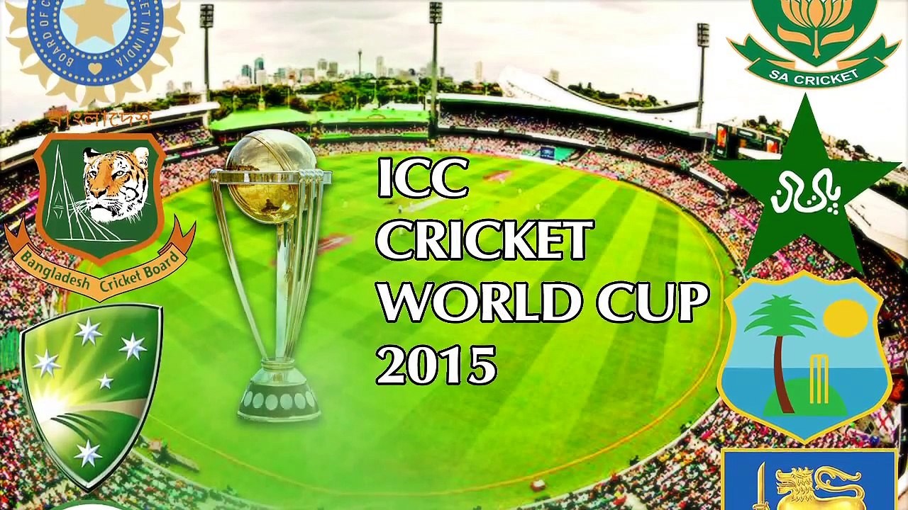 ---2015 World Cup- Virat Kohli loses cool